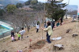 千光寺公園の斜面にそれぞれ植樹していきました。