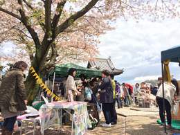 桜の木の下でお店が開かれていました。