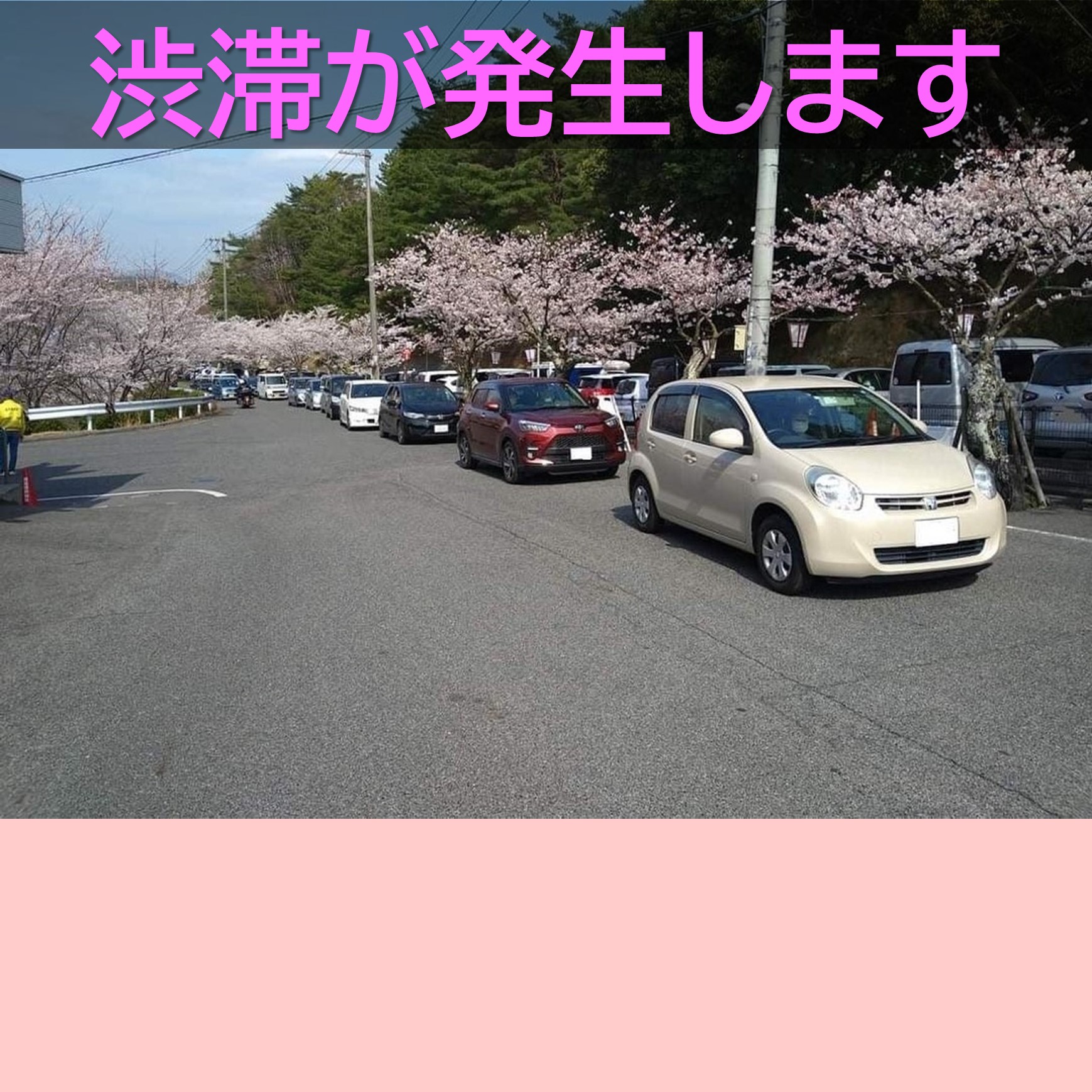 千光寺公園のお花見は公共交通機関をご利用くださいの画像