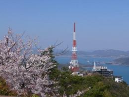 展望台からの風景