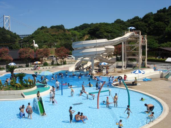 プール全景