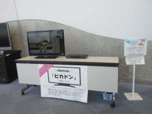 DVD上映