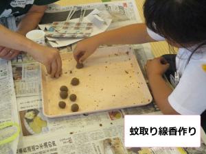 蚊取り線香写真
