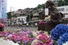 芙美子もあじさいに囲まれて嬉しそうですね。