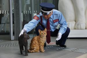 警備員さんと猫