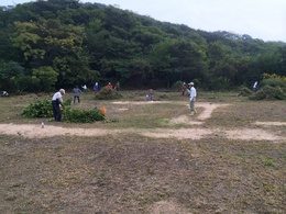 木の伐採や除草作業