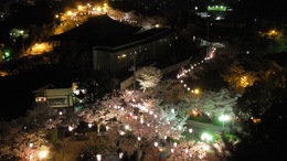 夜の千光寺公園はライトアップされています。