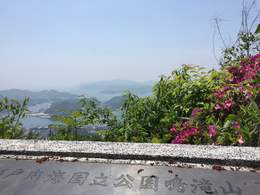 道中では山の花も楽しめますね。（写真は５月初旬の鳴滝山）