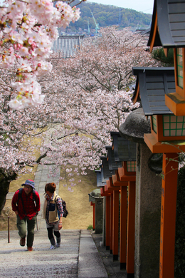 長い階段を上り、振り返った景色も素敵ですよ。（西國寺）