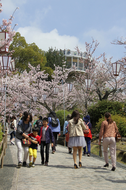 地元の方や観光客でにぎわっていました。（千光寺公園）