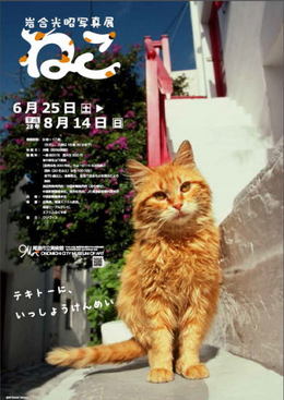 岩合光昭写真展「ねこ」が開催中です。