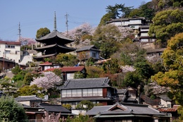 斜面地の景観