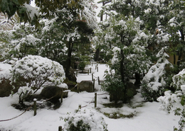 雪景色の爽籟軒庭園(260208 撮影)