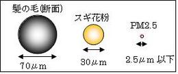 PM2.5の大きさ