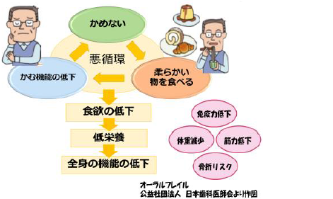 お口の衰えから全身の衰えへ