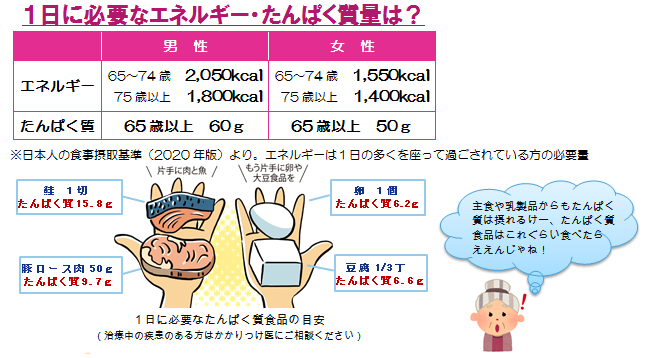 エネルギー量とたんぱく質量