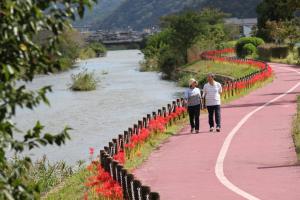 彼岸花が咲くいきいきロードで散歩を楽しむ人