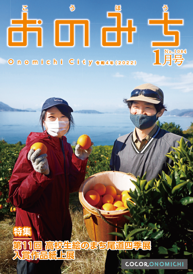 瀬戸田町で柑橘の収穫をしている様子