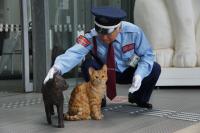 警備員さんと猫