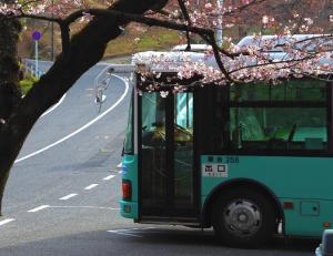 桜臨時バスが運行されます